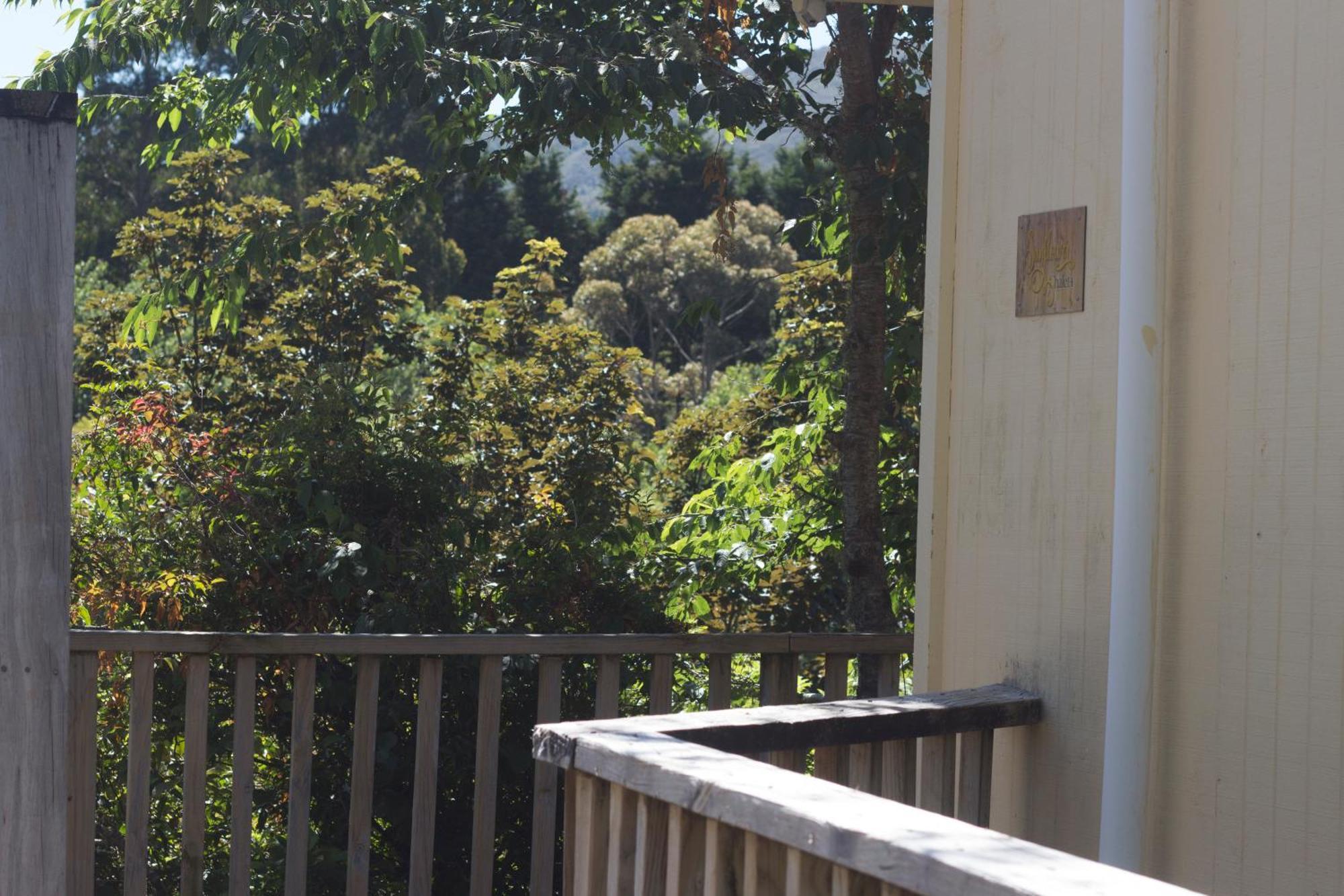 Aston Norwood Chalets Upper Hutt Extérieur photo
